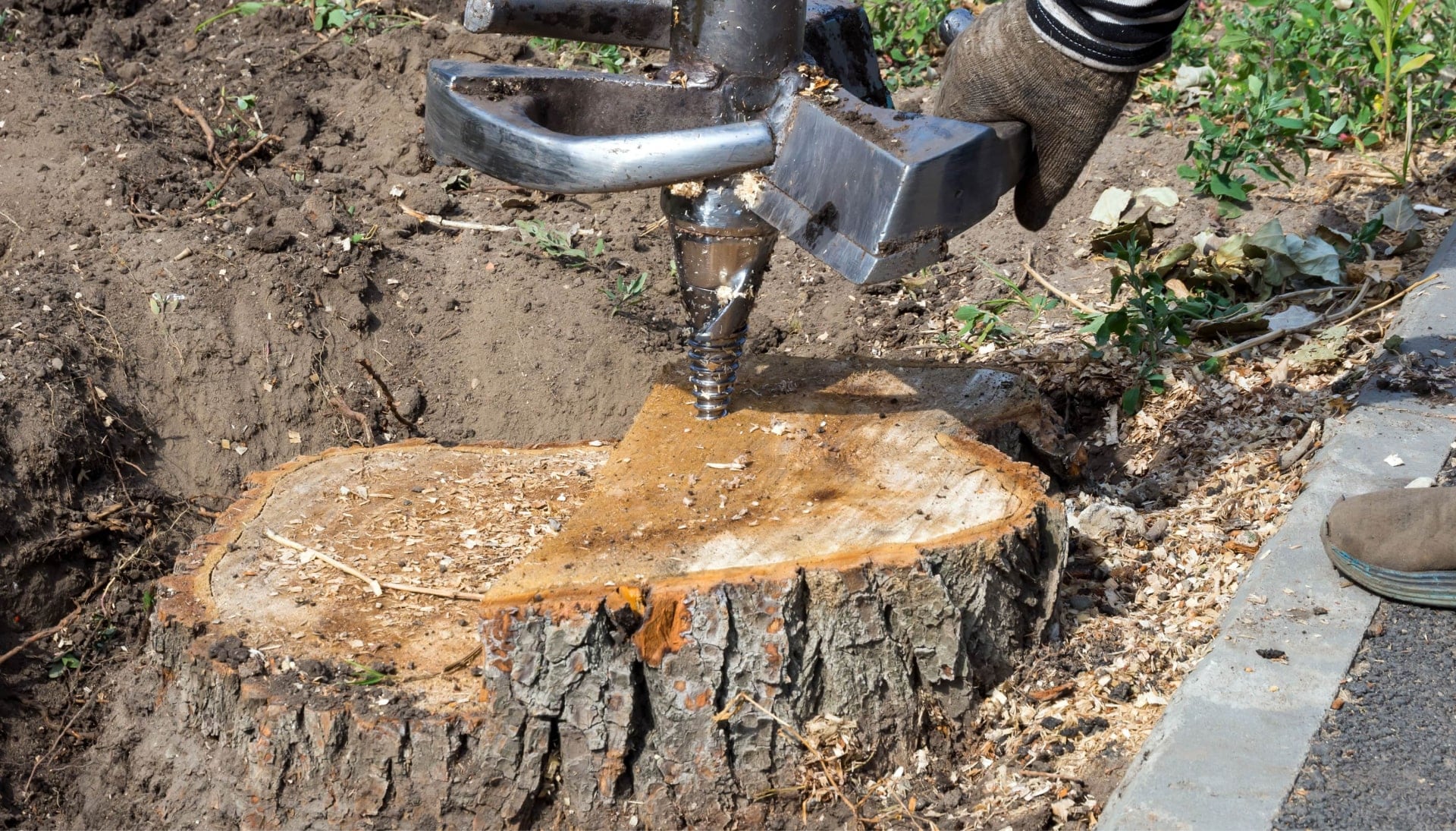 Middletown Township Tree stump removal